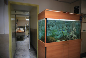 تهرانگردی امروز احمد مسجد جامعی در منطقه یک - بیمارستان شهدای تجریش 